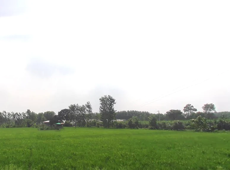 Behat, Uttar Pradesh 247121, India
