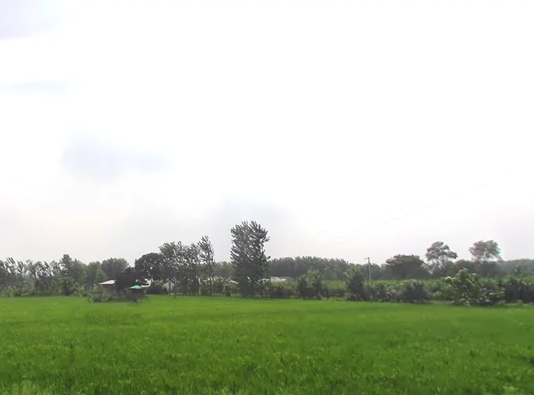 Behat, Uttar Pradesh 247121, India preview 3