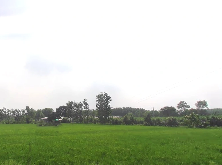 Behat, Uttar Pradesh 247121, India