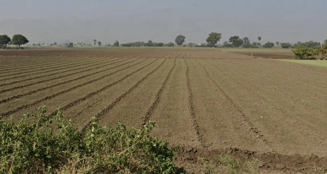 VRMF+V56, Kattkya, Madhya Pradesh, India