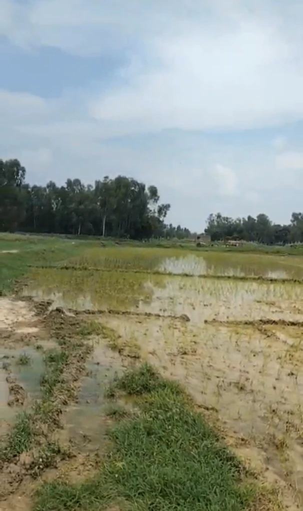 H3HG+8F, Lucknow, Meerakh Nagar, Uttar Pradesh 226302, India