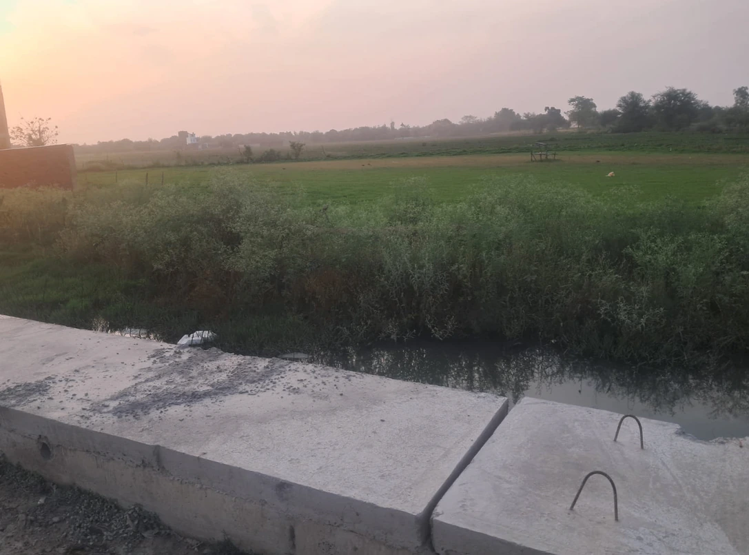 Dusarana, Punjab 140103, India