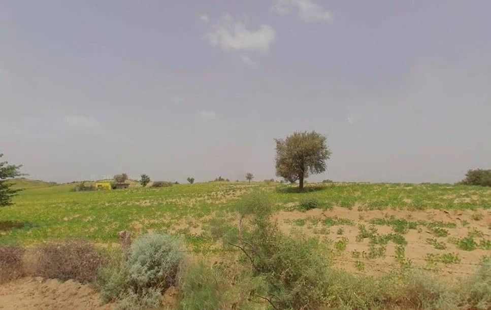 Bhanipura, Rajasthan 331411, India