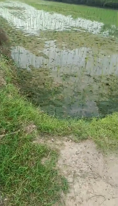 Khair, Aligarh, Uttar Pradesh 202138, India preview 2