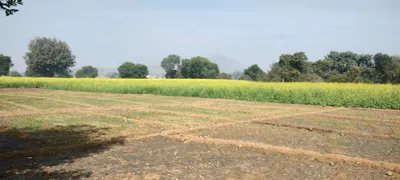 C2QF+MH Khatolai, Rajasthan, India preview 2