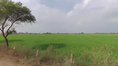 Ganj Basoda, Madhya Pradesh 464221, India preview 3