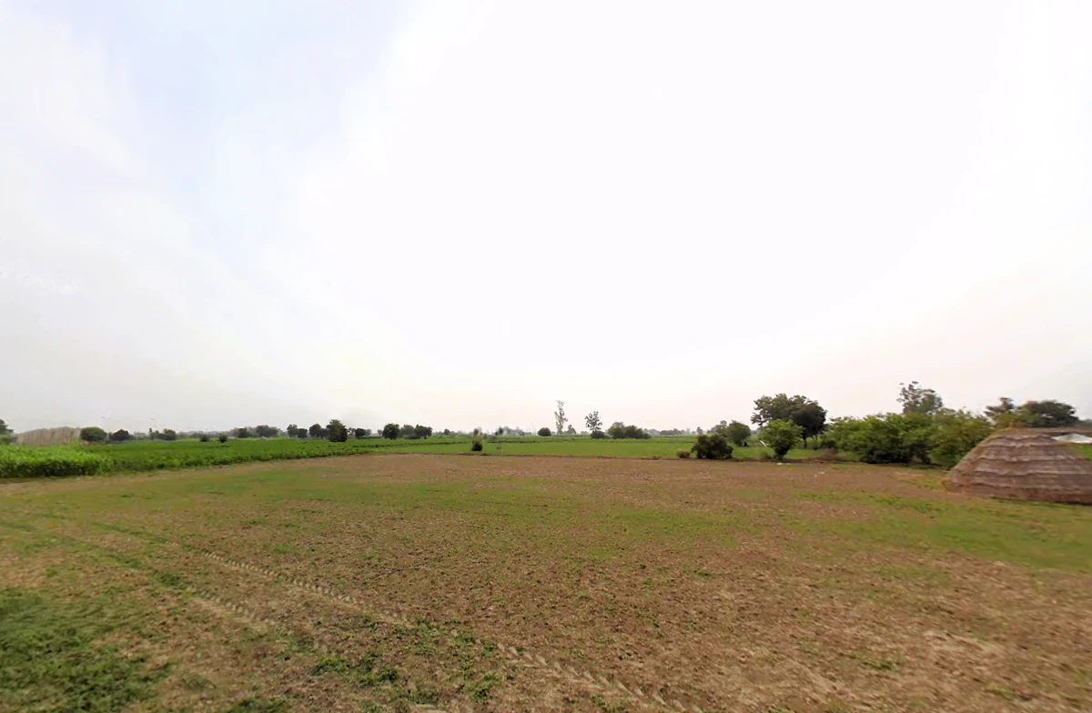 SunderPur, Haryana 126116, India