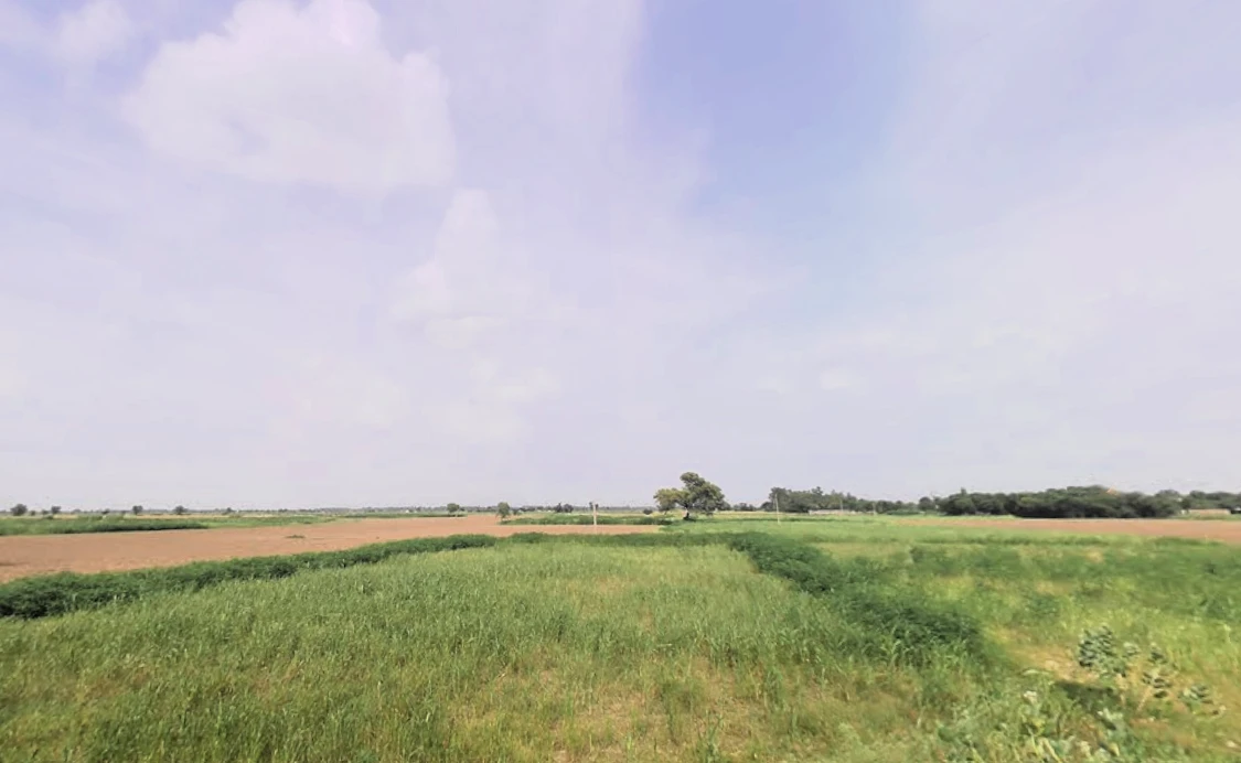 Nagina, Haryana 122108, India