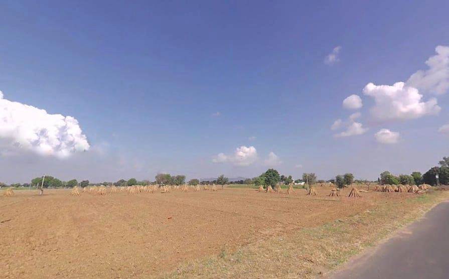 W8M5+QFX, Riwali, Rajasthan 301701, India