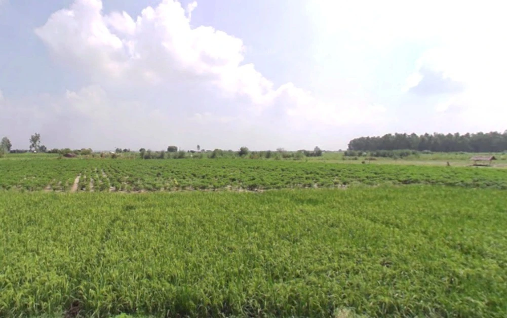 Lohana, Madhya Pradesh 456771, India