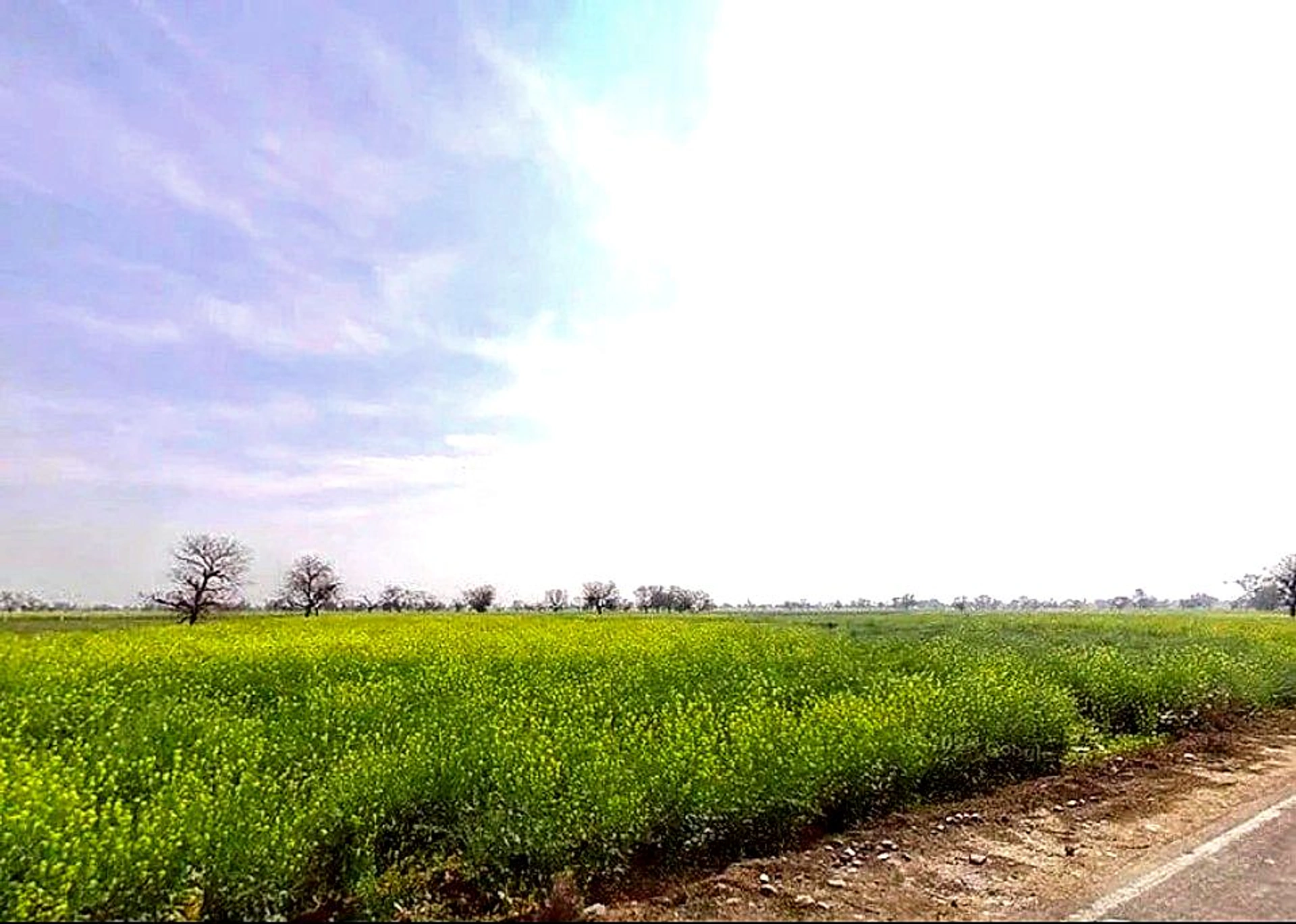 6JWQ+5R Govindgarh, Rajasthan, India