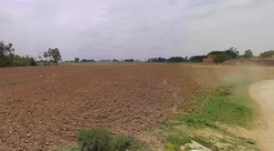 Bhiwani, Haryana, India preview 2