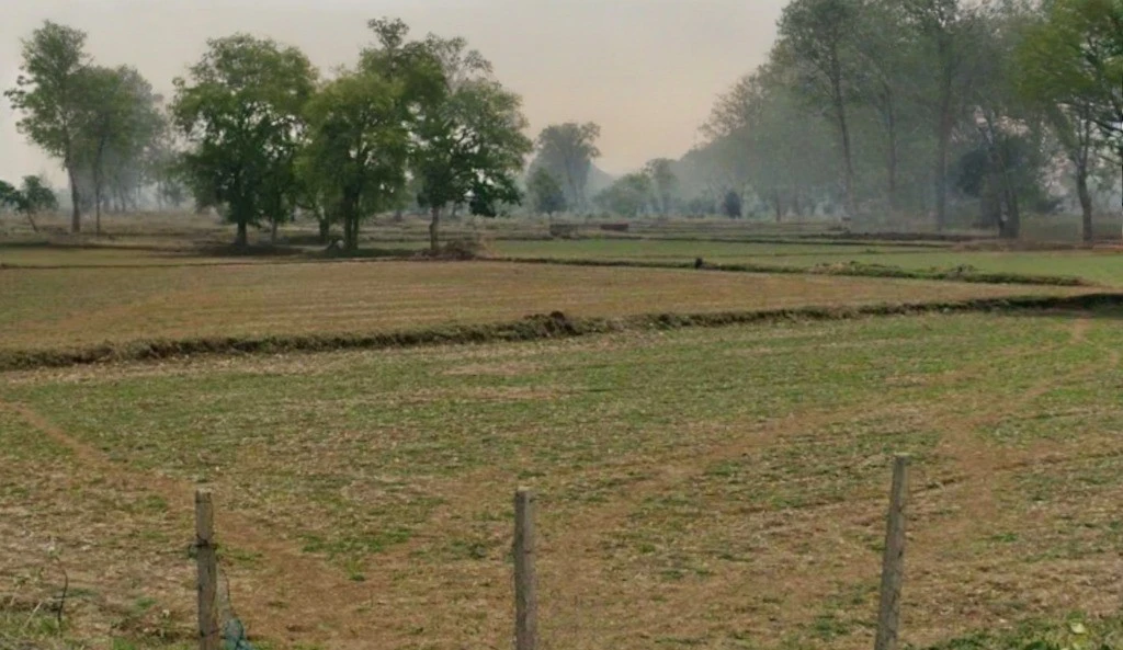 Birkona, Chhattisgarh, India