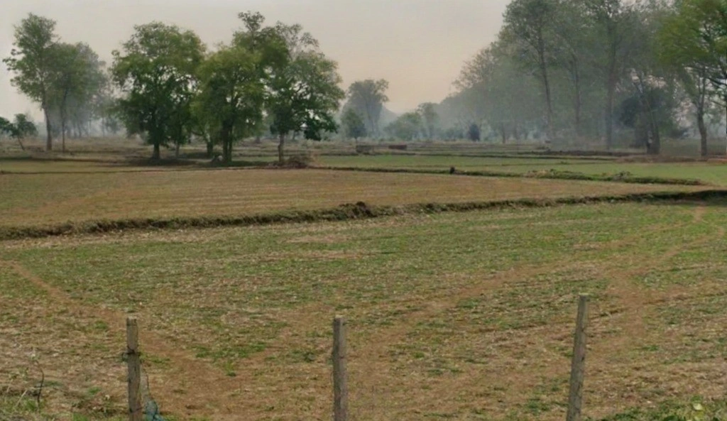 Birkona, Chhattisgarh, India