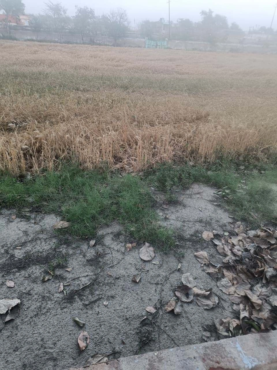 Gharwari, Rajasthan 321201, India