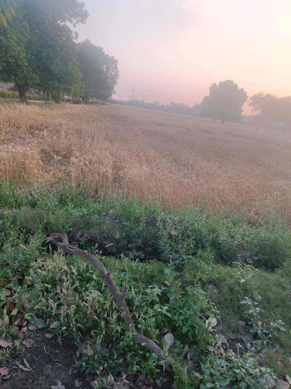 Gharwari, Rajasthan 321201, India