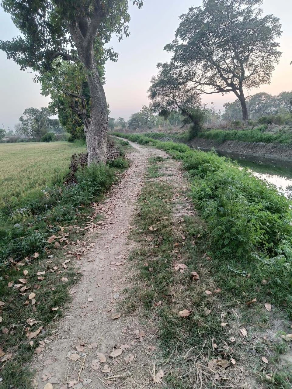 Gharwari, Rajasthan 321201, India