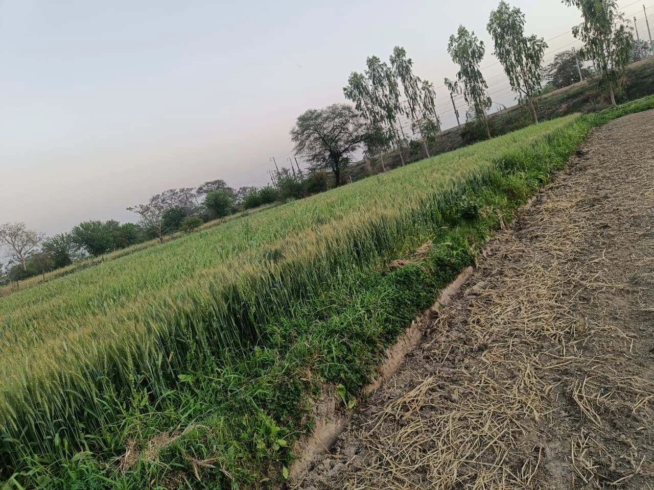 Gharwari, Rajasthan 321201, India