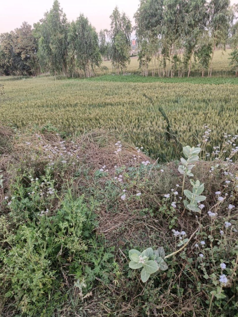 Gharwari, Rajasthan 321201, India