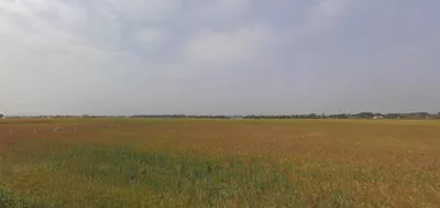 Khatoo, Rajasthan 332602, India preview 2