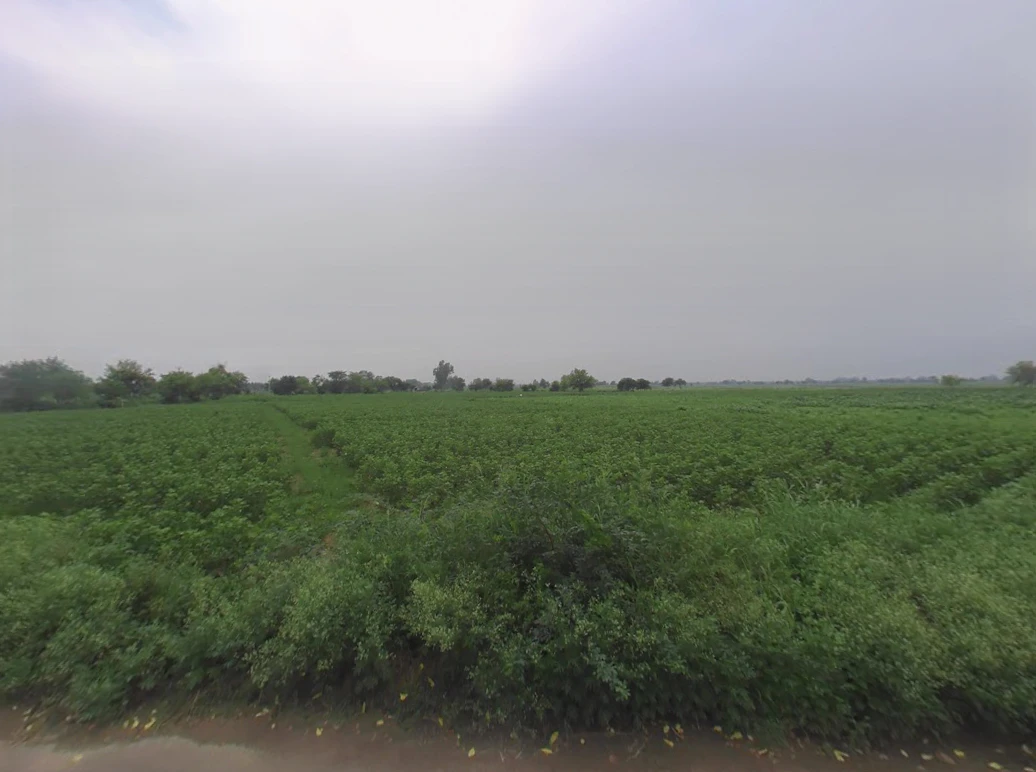 Barwas, Haryana 127201, India