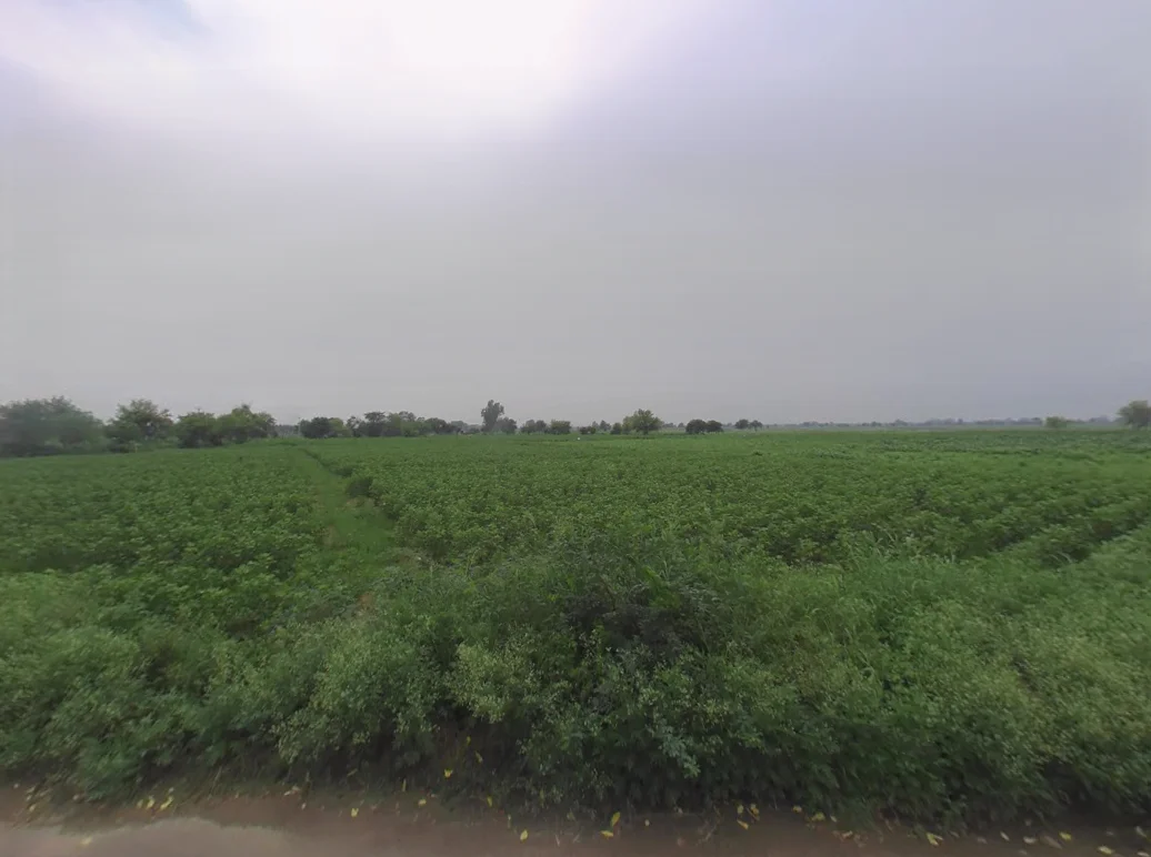 Barwas, Haryana 127201, India preview 3