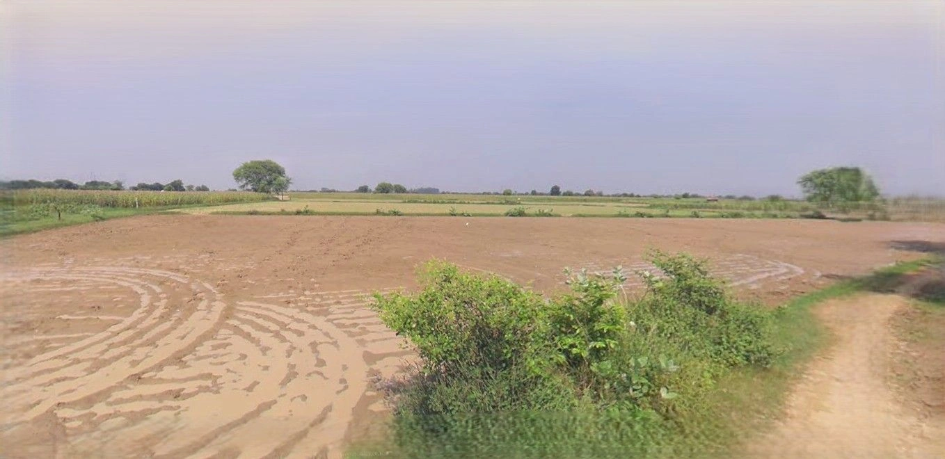 Barnagar, Madhya Pradesh 456771, India