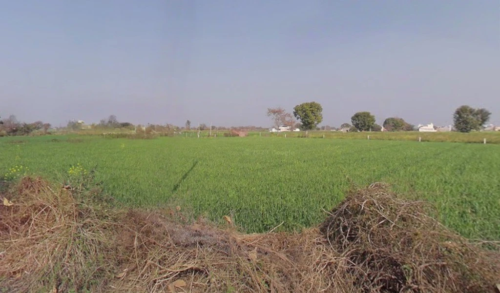 Bhadani, Haryana 124104, India