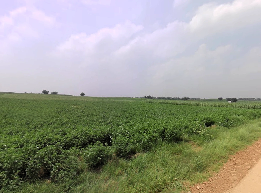 Tosham, Haryana 127040, India