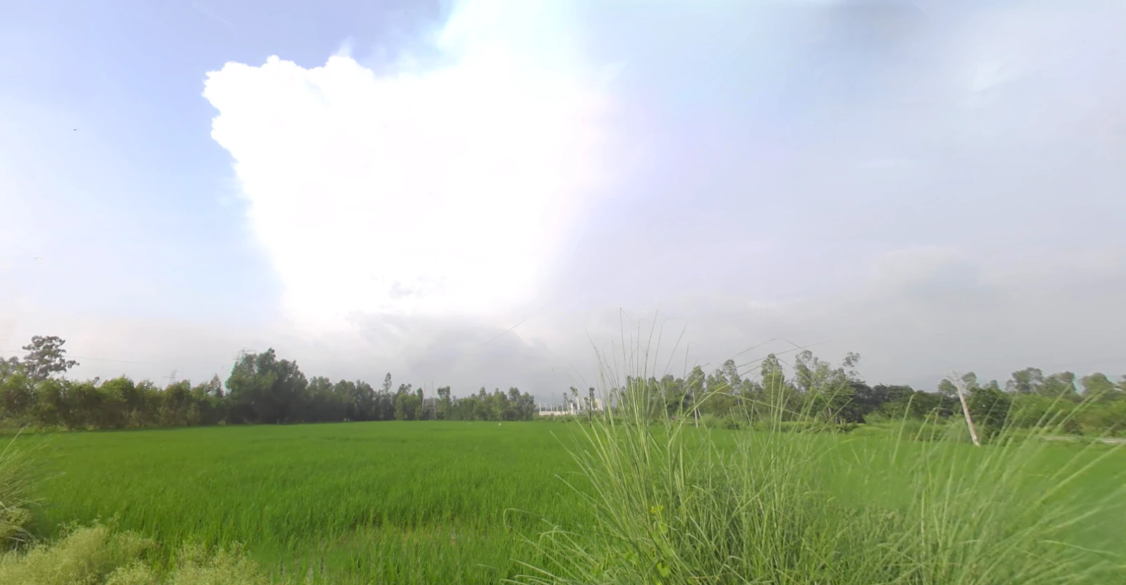 Mirzapur, Uttar Pradesh 247121, India