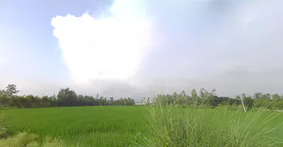 Mirzapur, Uttar Pradesh 247121, India preview 3