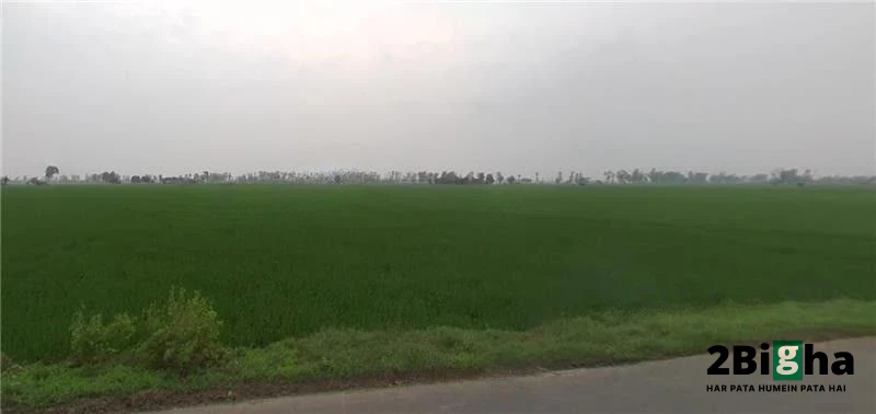 Chabal Rd, Indra Colony, Amritsar, Punjab, India