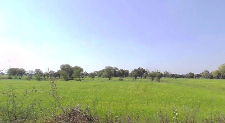 Ujara, Madhya Pradesh 471411, India