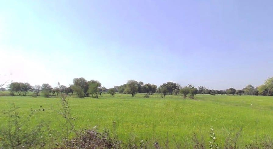 Ujara, Madhya Pradesh 471411, India