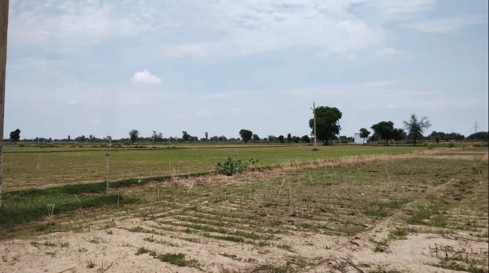 Ganaur, Haryana 131101, India