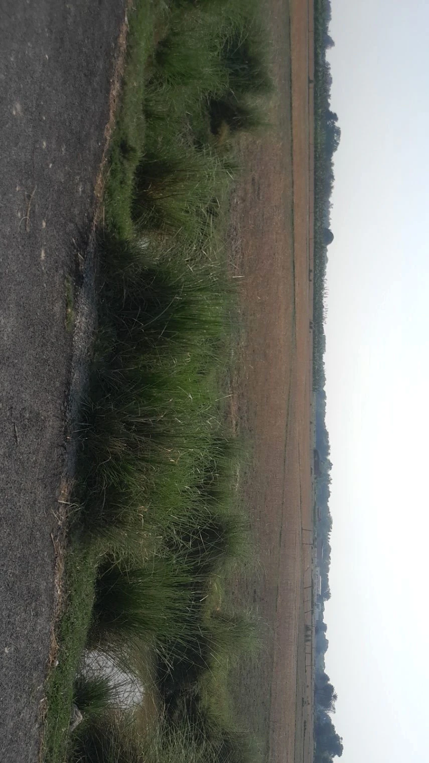 P5M7+M52, Malik Pur, Chandpur Harbanshpur, Uttar Pradesh 224133, India
