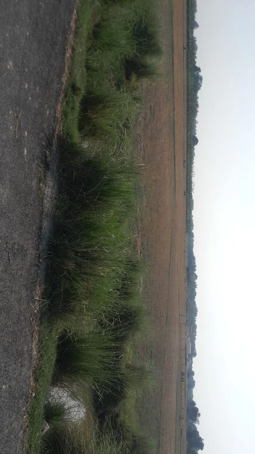 P5M7+M52, Malik Pur, Chandpur Harbanshpur, Uttar Pradesh 224133, India