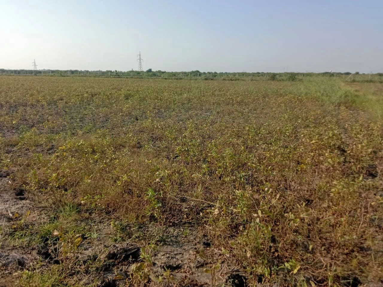 6JVH+5P Chirawa, Jhunjhunu, Rajasthan, India