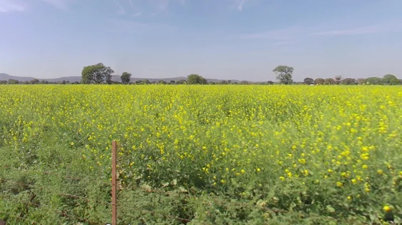 Gautampura, Madhya Pradesh 453220, India preview 2