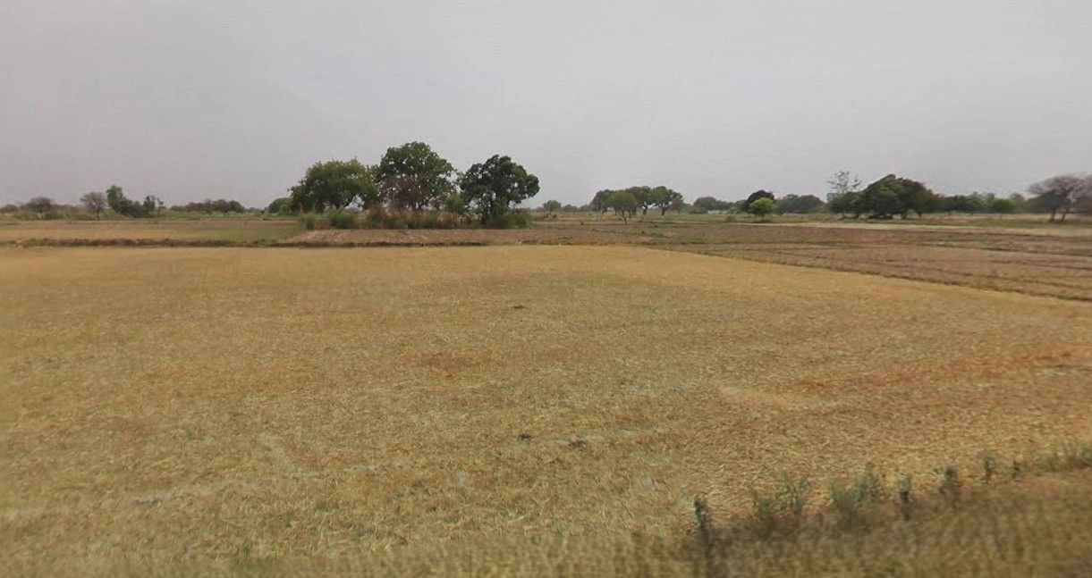 Agar, Madhya Pradesh 465441, India preview 3