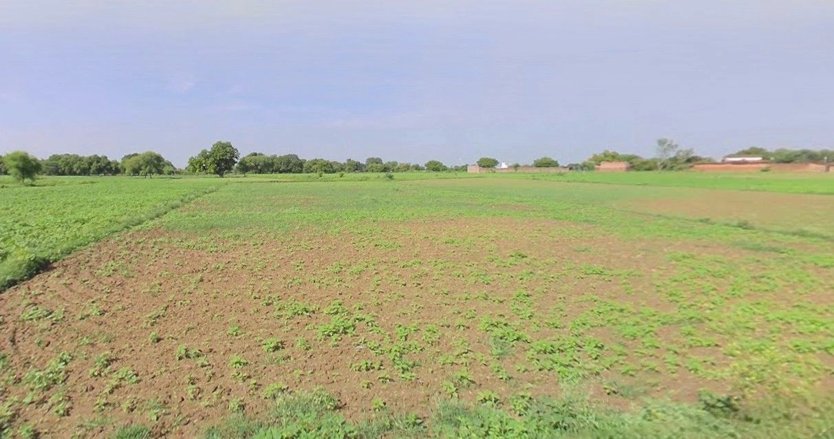 Badli, Haryana 124105, India