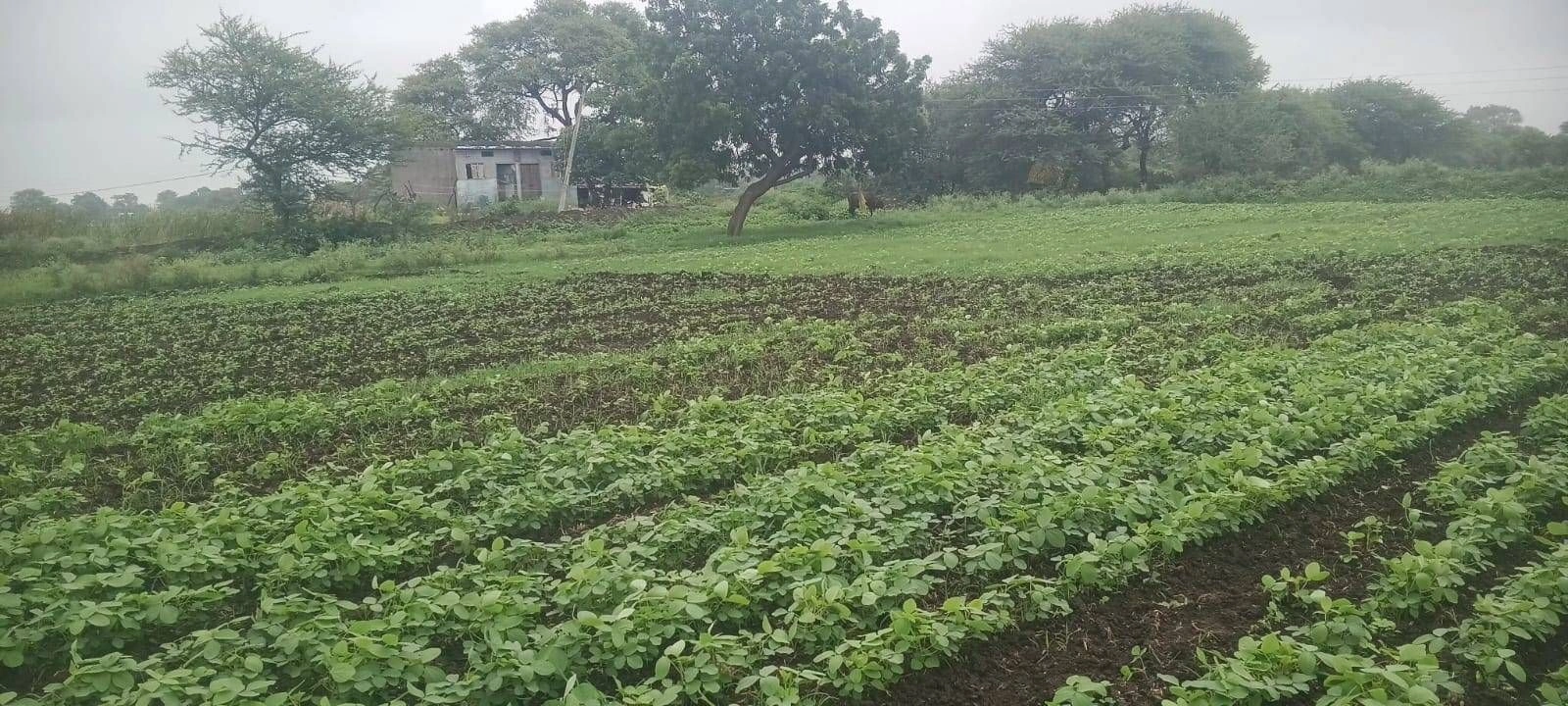 RRCH+6PJ, Indore, Rewati, Madhya Pradesh, India