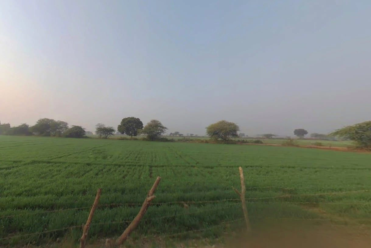 F2RM+G92, Jhalaji Ka Baran, Rajasthan 323803, India