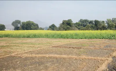 Janar, Sonbhadra, Uttar Pradesh 231210, India preview 2