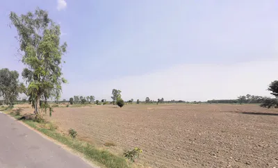 Barsat, Haryana 132114, India preview 3