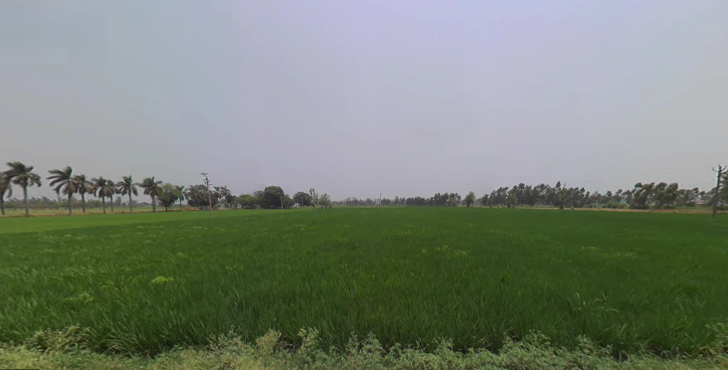 Jhajra, Uttarakhand 248015, India