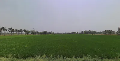 Jhajra, Uttarakhand 248015, India preview 2