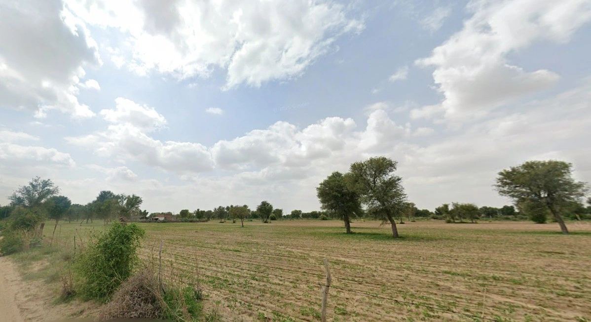 Sherpura, Rajasthan 334604, India