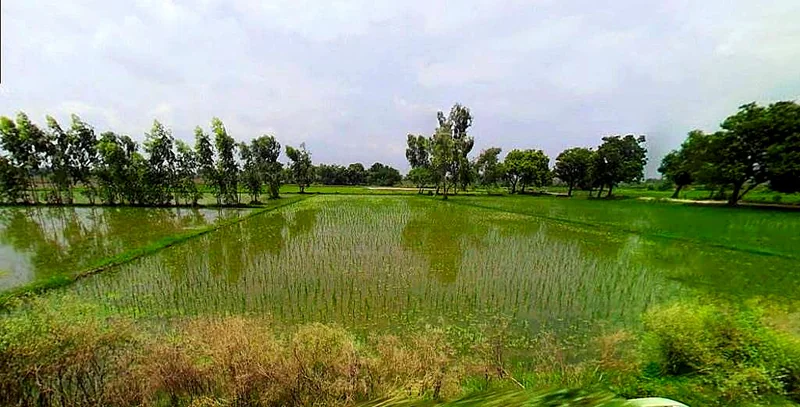 Mathura, Uttar Pradesh, India preview 2