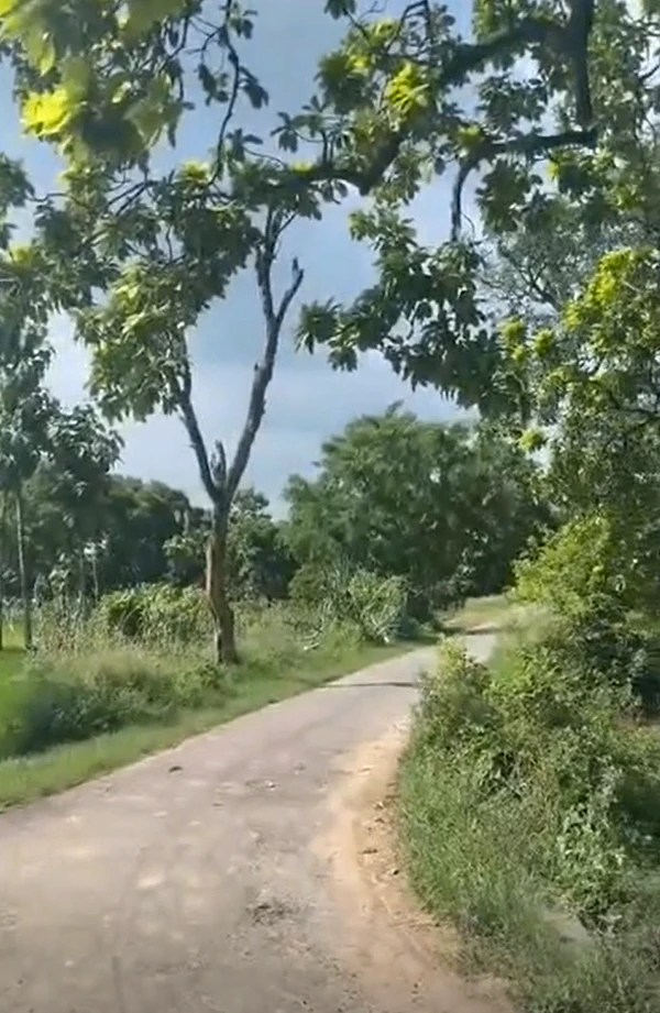 Maktapar, Gorakhpur, Uttar Pradesh 273209, India